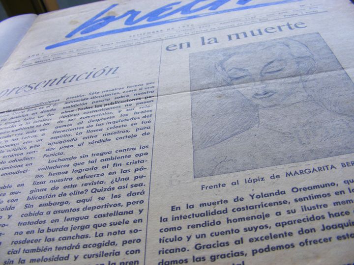 biblioteca 223 copy.jpg